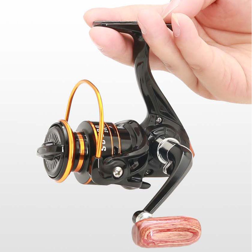 800 Serie Kleine Spinvismolen  - Daiwa Reel Bg recensie en prijs